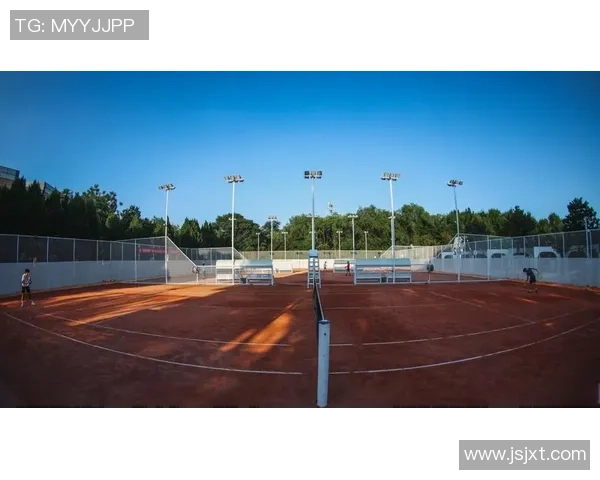 从草地到红土再到硬地全面解析网球场地变化对比赛策略的深远影响